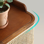 2 Door Rattan Shoe Cabinet Cupboard Storage Sideboard